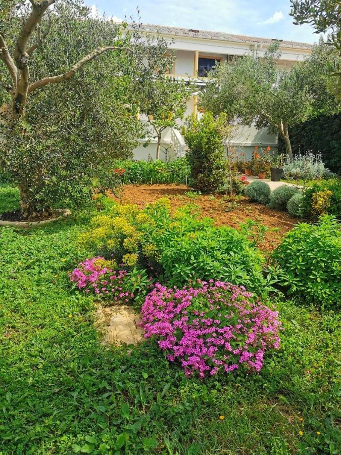 Apartments Sanja بوفليانا المظهر الخارجي الصورة